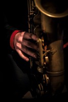 /album/fotogalerie-audio-video/sago-jpg2/